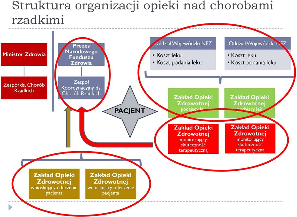 Chorób Rzadkich Zespół Koordynacyjny ds.