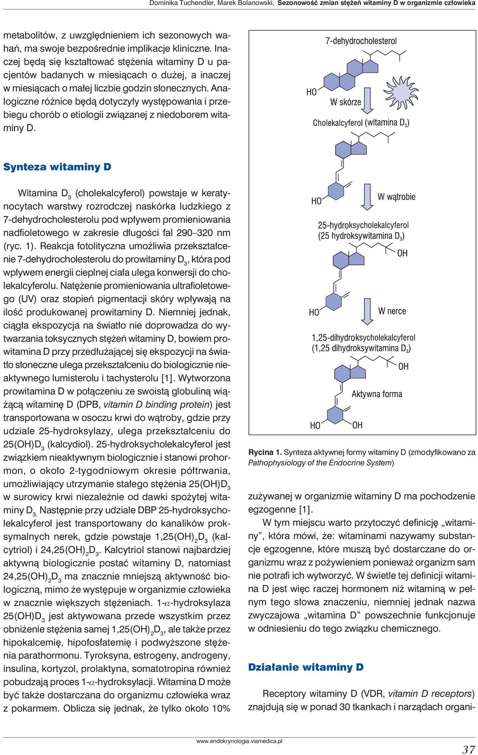 Analogiczne różnice będą dotyczyły występowania i przebiegu chorób o etiologii związanej z niedoborem witaminy D.