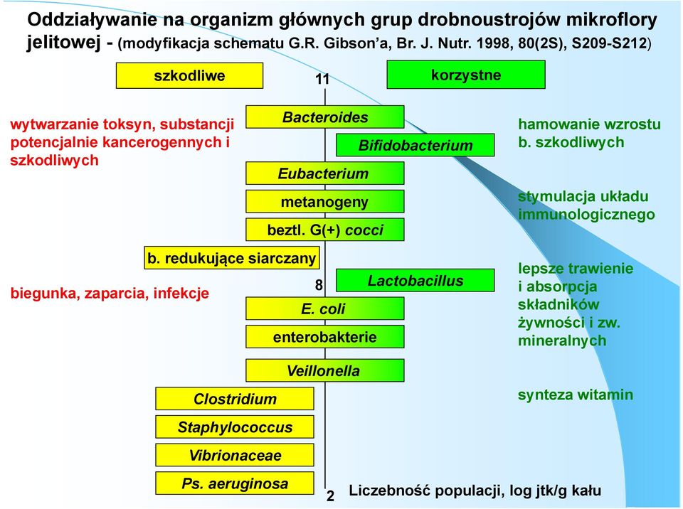 metanogeny beztl. G(+) cocci hamowanie wzrostu b. szkodliwych stymulacja układu immunologicznego b.