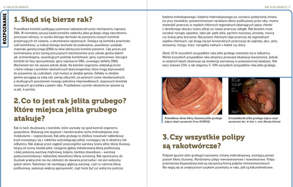 najstarszych. Dzieląca się komórka przechodzi cykl komórkowy, w trakcie którego dochodzi do podwojenia, powielenia i podziału materiału genetycznego (DNA) na dwie identyczne komórki potomne.