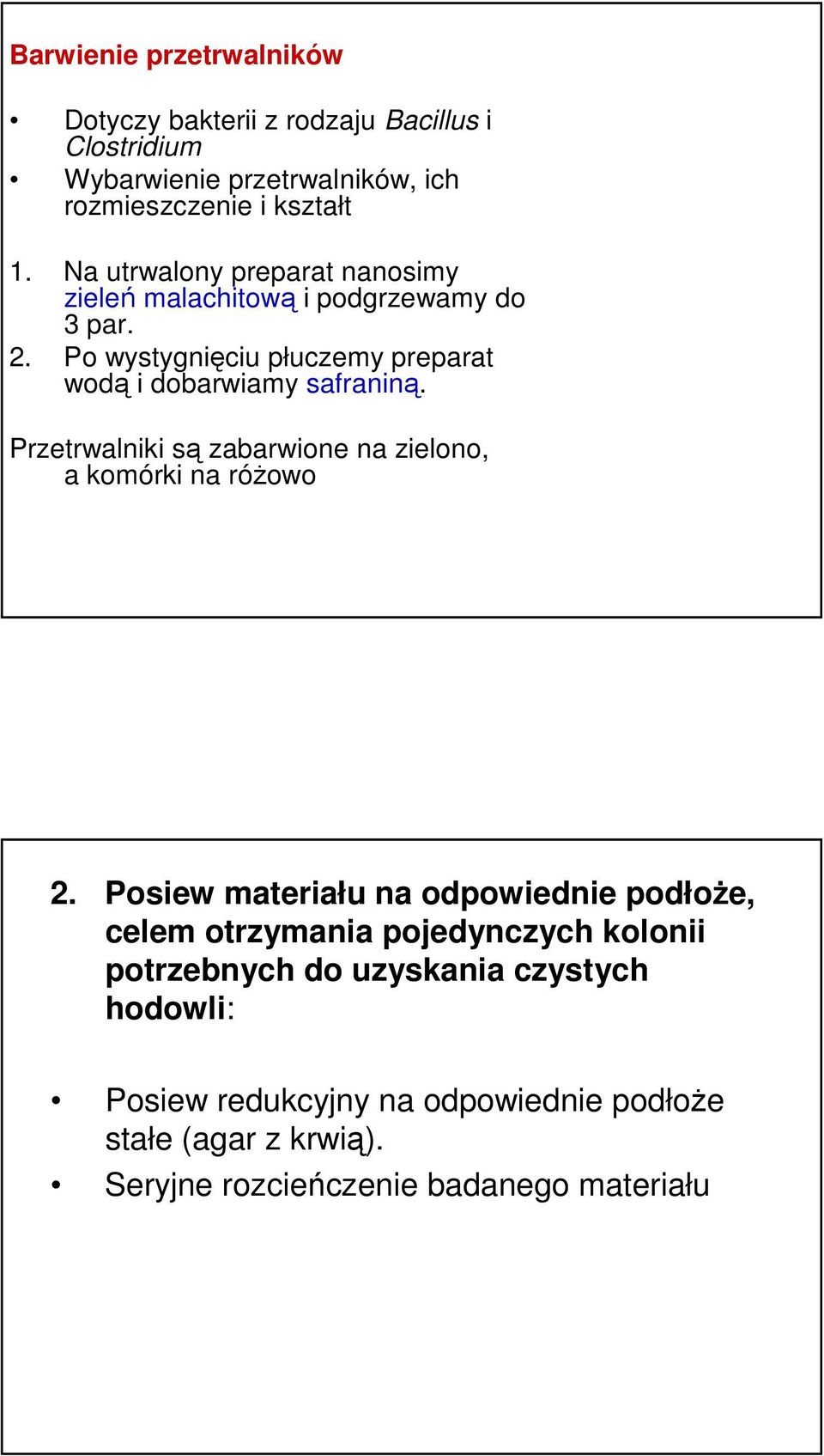 Przetrwalniki są zabarwione na zielono, a komórki na różowo 2.