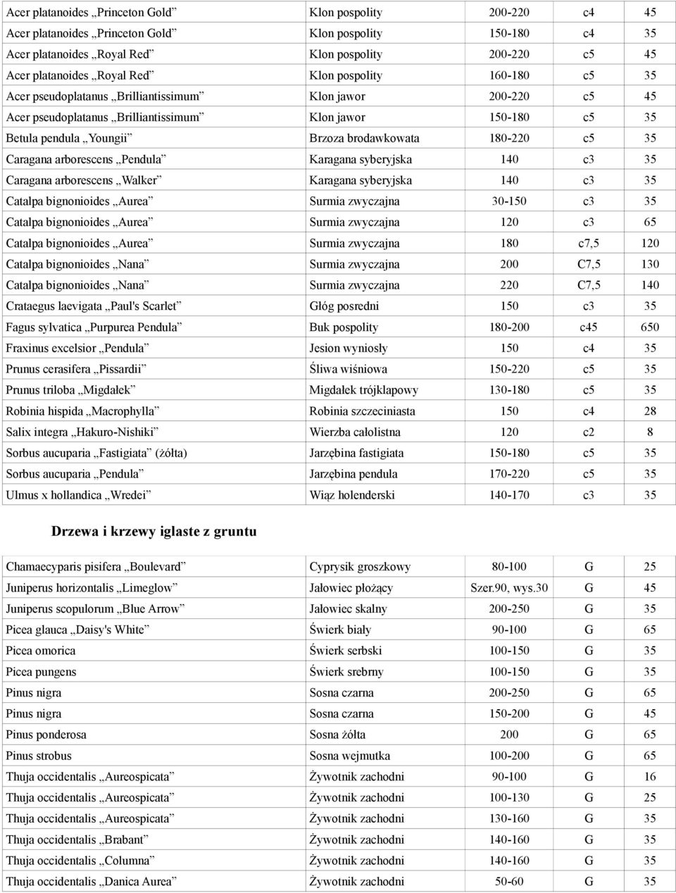 brodawkowata 180-220 c5 35 Caragana arborescens Pendula Karagana syberyjska 140 c3 35 Caragana arborescens Walker Karagana syberyjska 140 c3 35 Catalpa bignonioides Aurea Surmia zwyczajna 30-150 c3