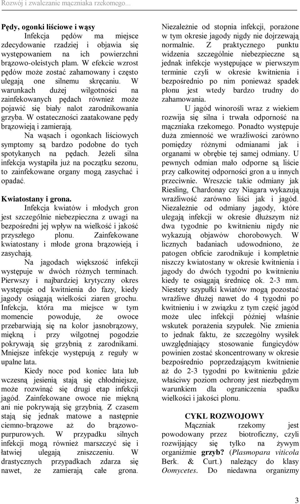 W ostateczności zaatakowane pędy brązowieją i zamierają. Na wąsach i ogonkach liściowych symptomy są bardzo podobne do tych spotykanych na pędach.