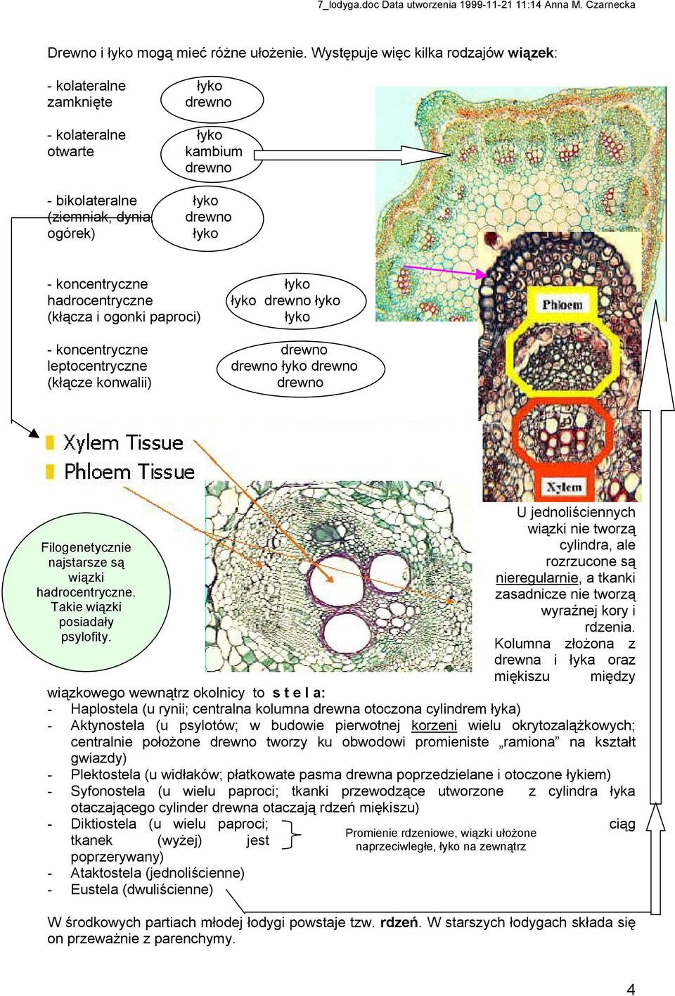 hadrocentryczne łyko drewno łyko (kłącza i ogonki paproci) łyko - koncentryczne drewno leptocentryczne drewno łyko drewno (kłącze konwalii) drewno Filogenetycznie najstarsze są wiązki hadrocentryczne.
