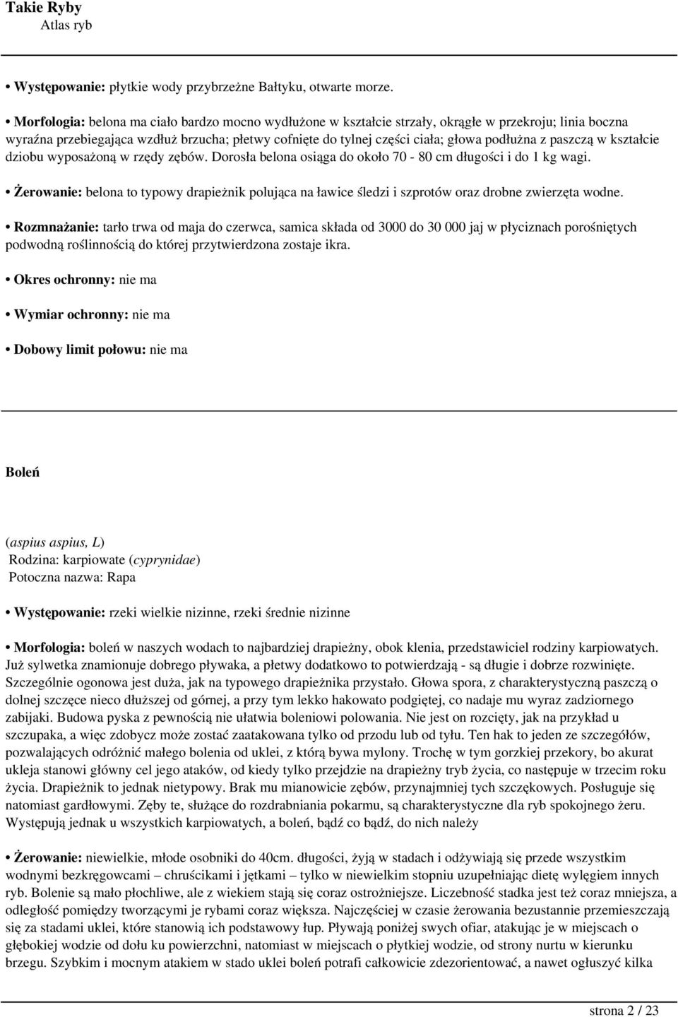 z paszczą w kształcie dziobu wyposażoną w rzędy zębów. Dorosła belona osiąga do około 70-80 cm długości i do 1 kg wagi.