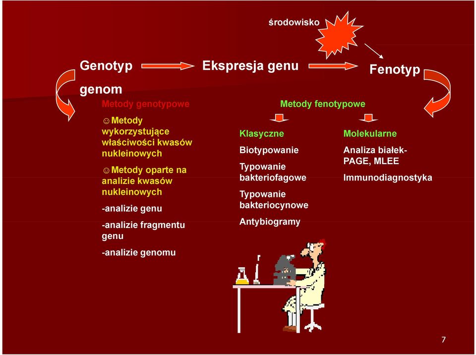 genomu Ekspresja genu Klasyczne Biotypowanie Typowanie bakteriofagowe Typowanie bakteriocynowe