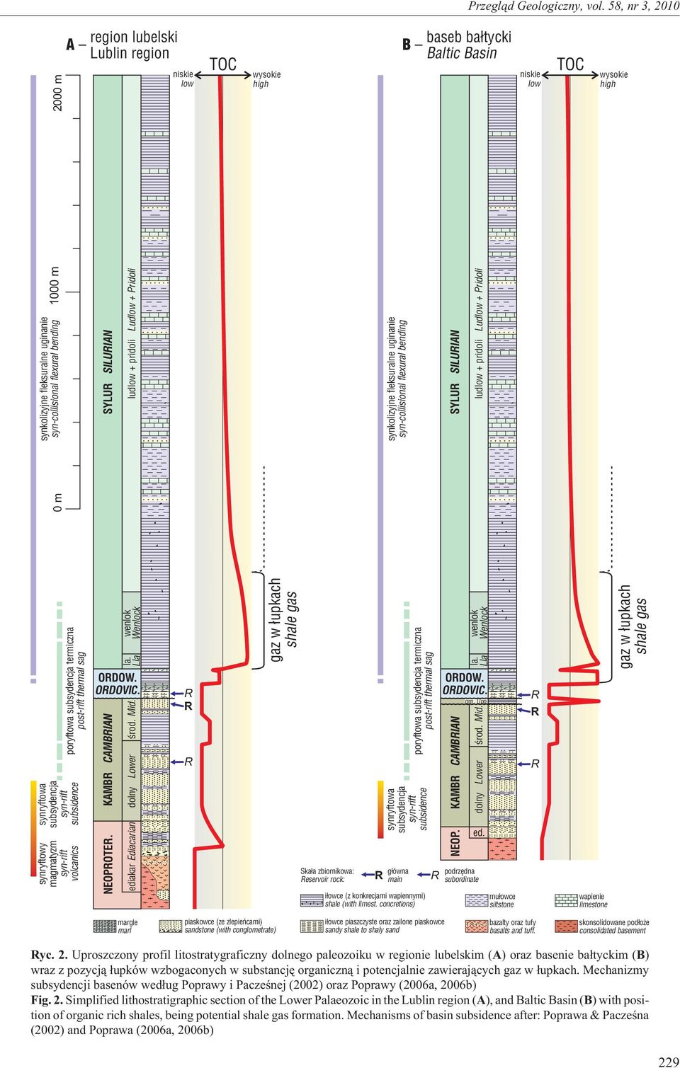 dolny Lower ediakar Ediacarian niskie low R R R TOC wysokie high gaz w ³upkach shale gas Ska³a zbiornikowa: Reservoir rock: R synkolizyjne fleksuralne uginanie syn-collisional flexural bending