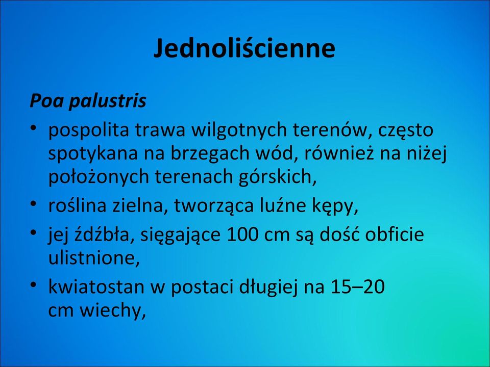 górskich, roślina zielna, tworząca luźne kępy, jej źdźbła, sięgające