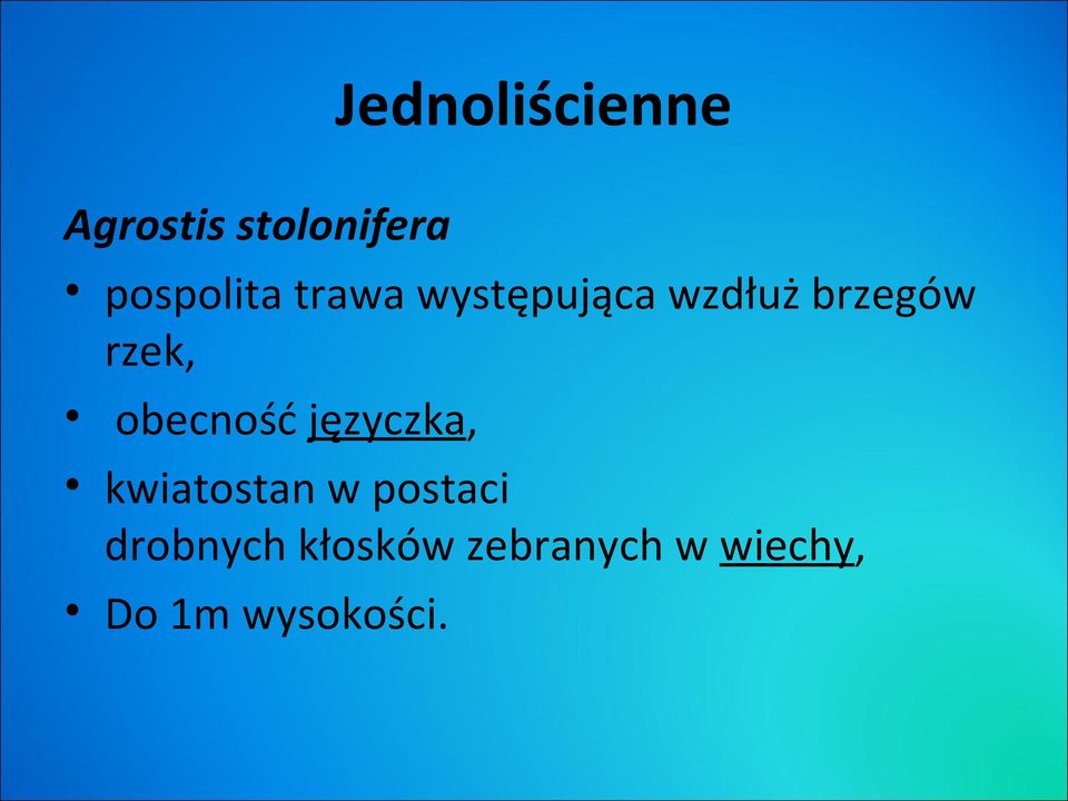 rzek, obecność języczka, kwiatostan w