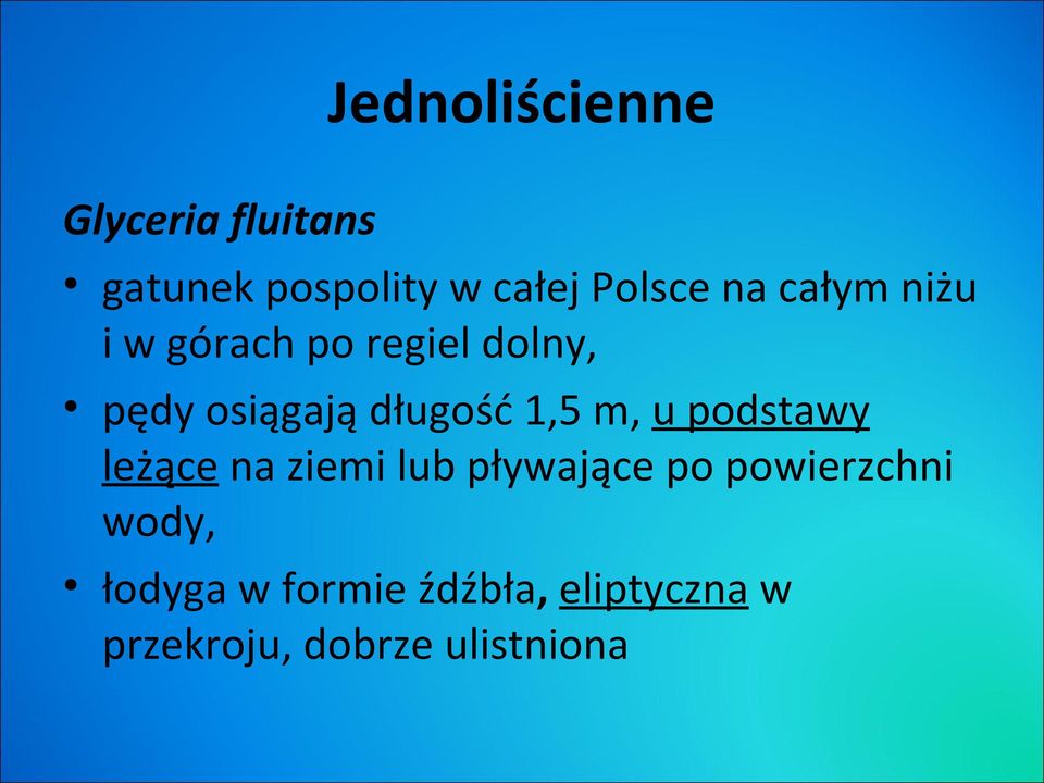 1,5 m, u podstawy leżące na ziemi lub pływające po powierzchni