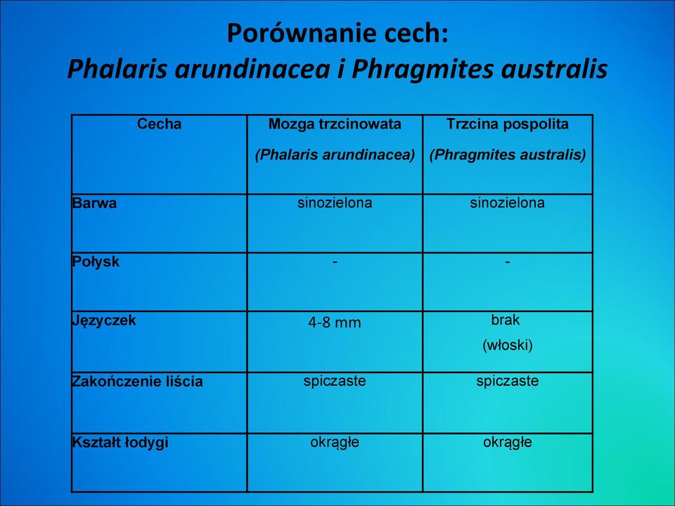 australis) Barwa sinozielona sinozielona Połysk - - 4-8 mm brak Języczek