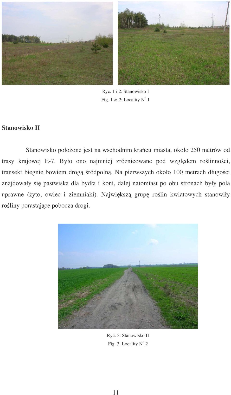 Było ono najmniej zrónicowane pod wzgldem rolinnoci, transekt biegnie bowiem drog ródpoln.