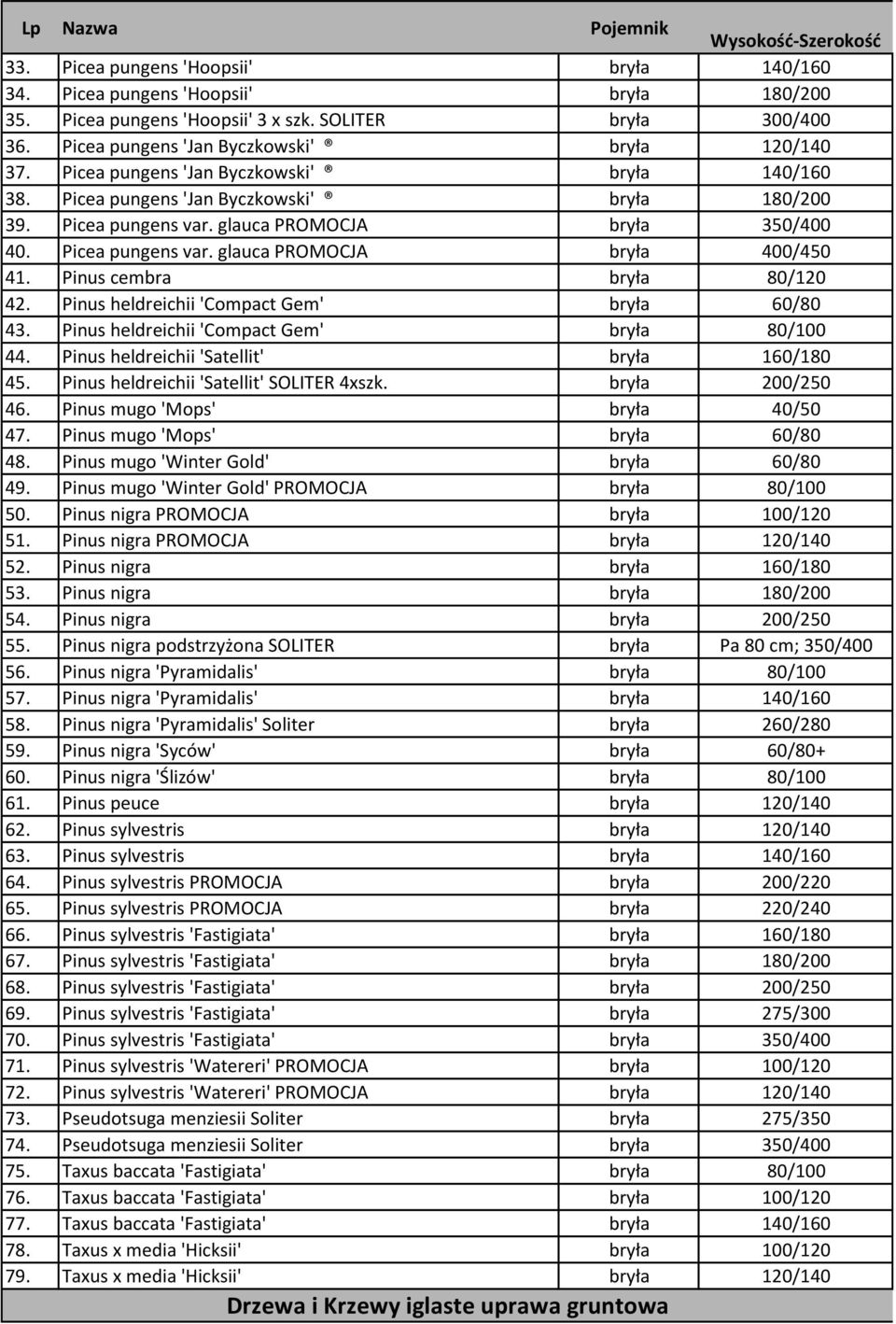 Pinus cembra bryła 80/120 42. Pinus heldreichii 'Compact Gem' bryła 60/80 43. Pinus heldreichii 'Compact Gem' bryła 80/100 44. Pinus heldreichii 'Satellit' bryła 160/180 45.