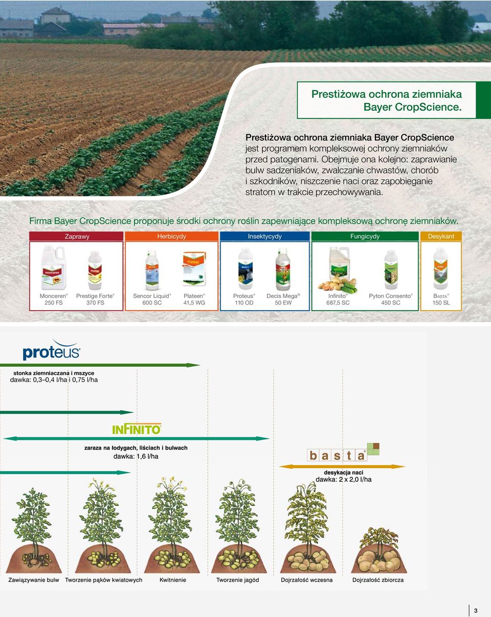 Firma Bayer CropScience proponuje środki ochrony roślin zapewniające kompleksową ochronę ziemniaków.