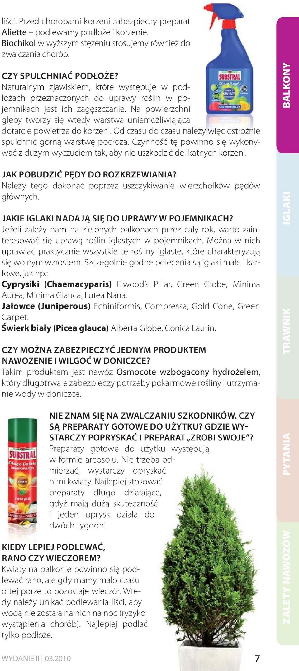 Na powierzchni gleby tworzy się wtedy warstwa uniemożliwiająca dotarcie powietrza do korzeni. Od czasu do czasu należy więc ostrożnie spulchnić górną warstwę podłoża.