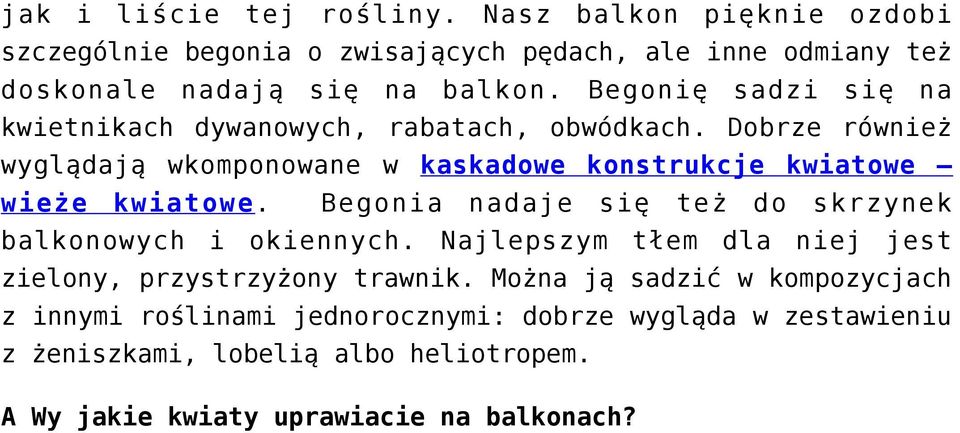 Dobrze również wyglądają wkomponowane w kaskadowe konstrukcje kwiatowe wieże kwiatowe. Begonia nadaje się też do skrzynek balkonowych i okiennych.