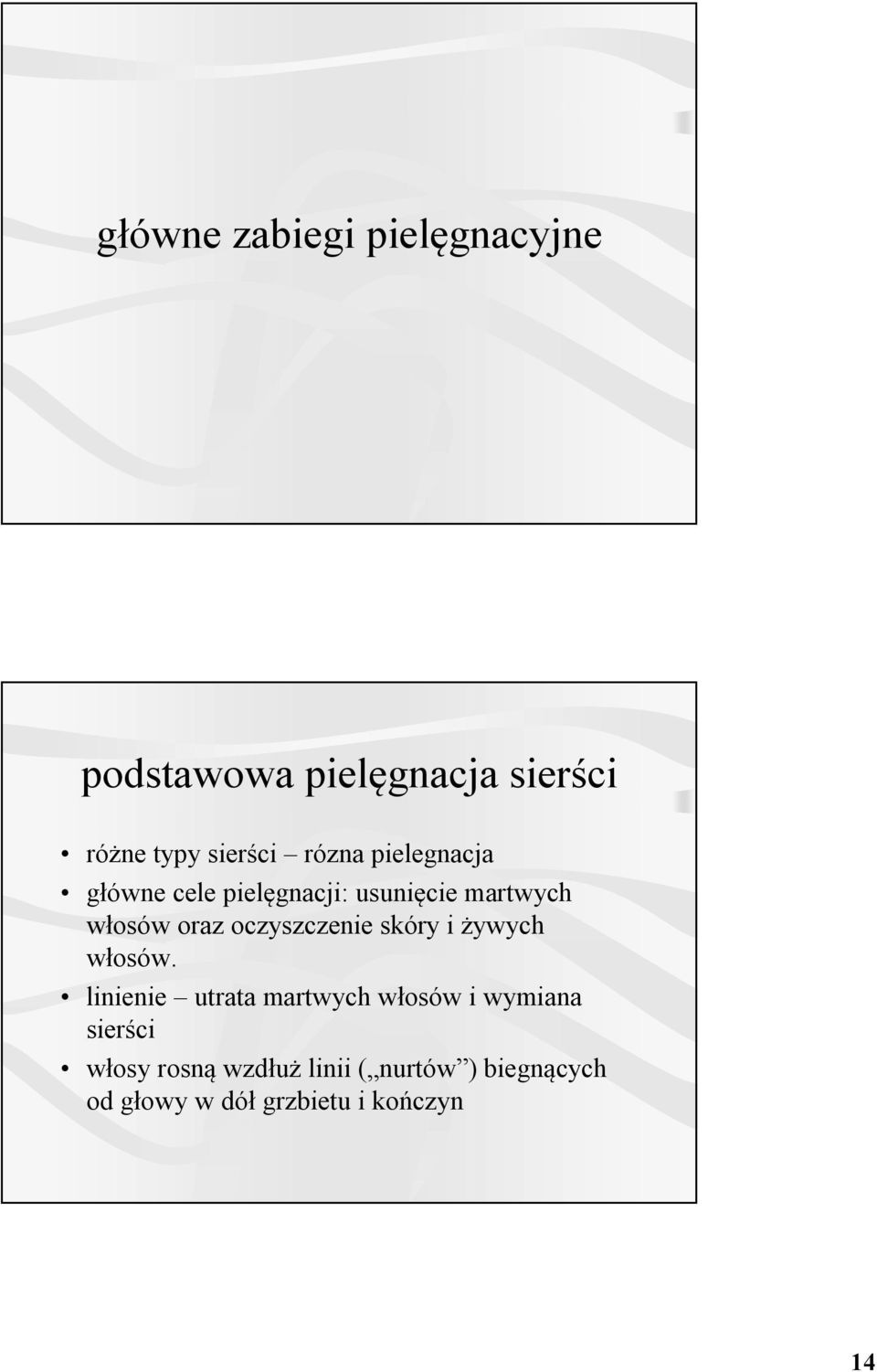 oczyszczenie skóry i żywych włosów.