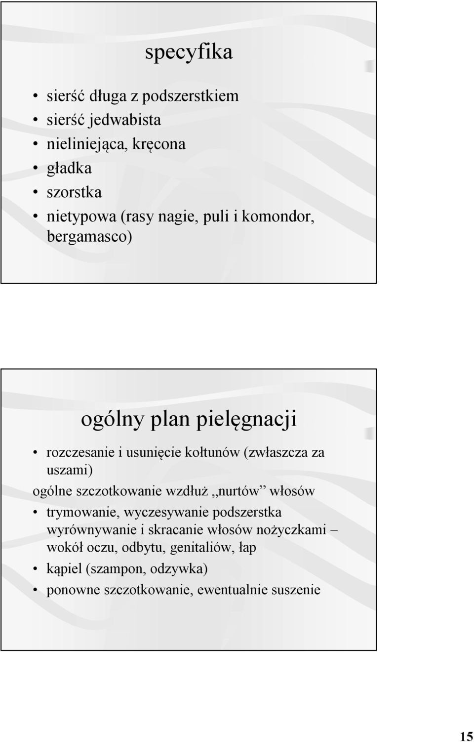 uszami) ogólne szczotkowanie wzdłuż nurtów włosów trymowanie, wyczesywanie podszerstka wyrównywanie i skracanie