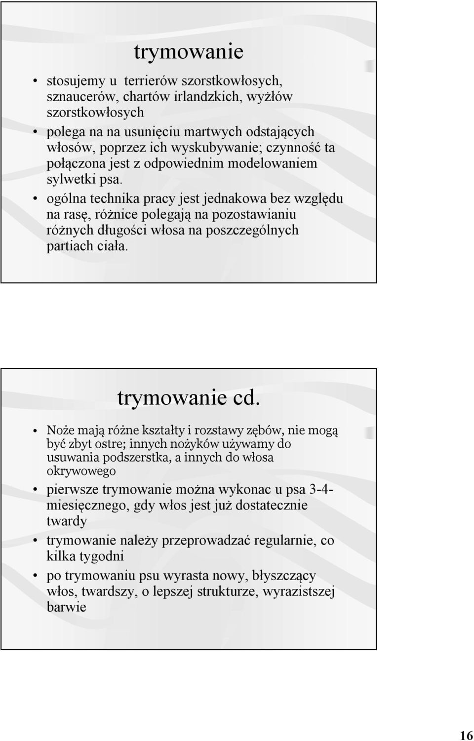ogólna technika pracy jest jednakowa bez względu na rasę, różnice polegają na pozostawianiu różnych długości włosa na poszczególnych partiach ciała. trymowanie cd.