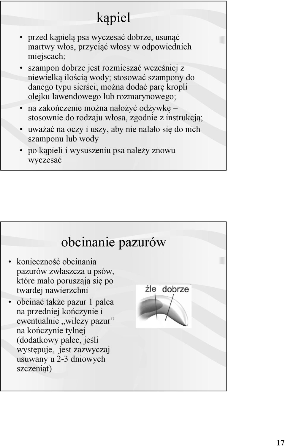 aby nie nalało się do nich szamponu lub wody po kąpieli i wysuszeniu psa należy znowu wyczesać obcinanie pazurów konieczność obcinania pazurów zwłaszcza u psów, które mało poruszają się po