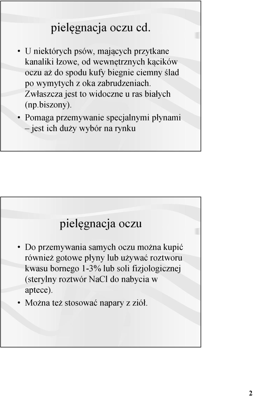 wymytych z oka zabrudzeniach. Zwłaszcza jest to widoczne u ras białych (np.biszony).