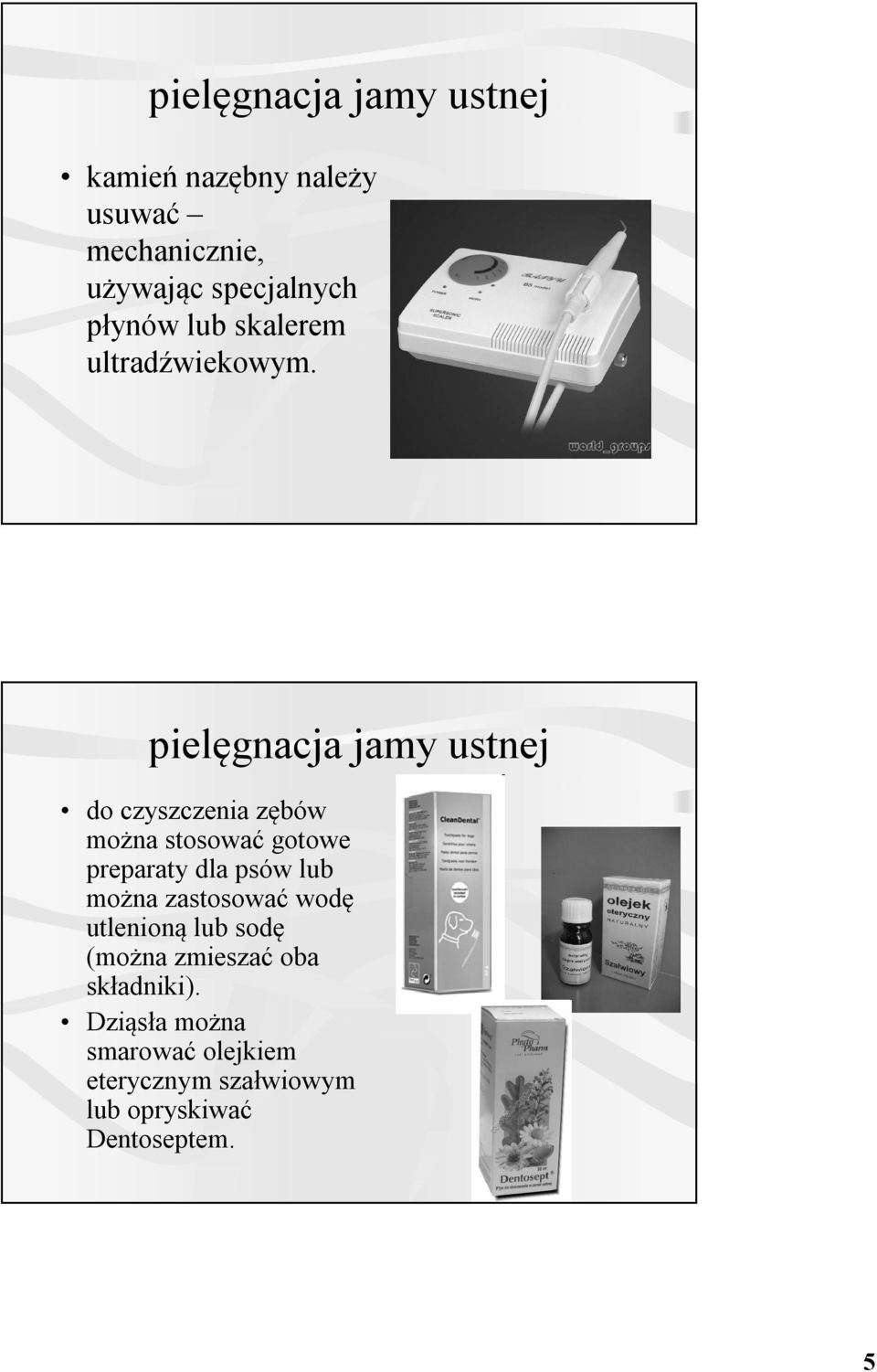 pielęgnacja jamy ustnej do czyszczenia zębów można stosować gotowe preparaty dla psów lub