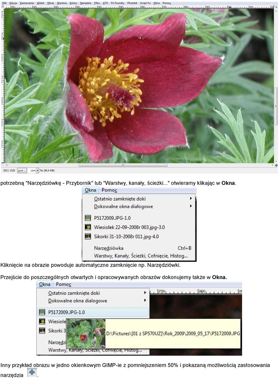 Narzędziówki.