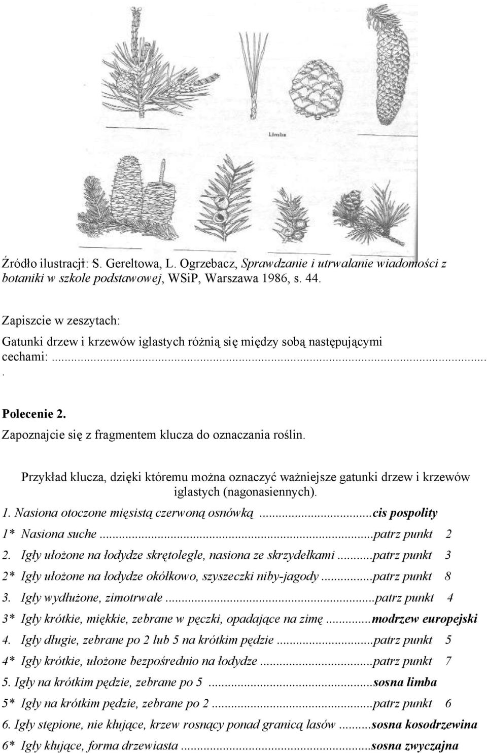 Przykład klucza, dzięki któremu można oznaczyć ważniejsze gatunki drzew i krzewów iglastych (nagonasiennych). 1. Nasiona otoczone mięsistą czerwoną osnówką...cis pospolity 1* Nasiona suche.