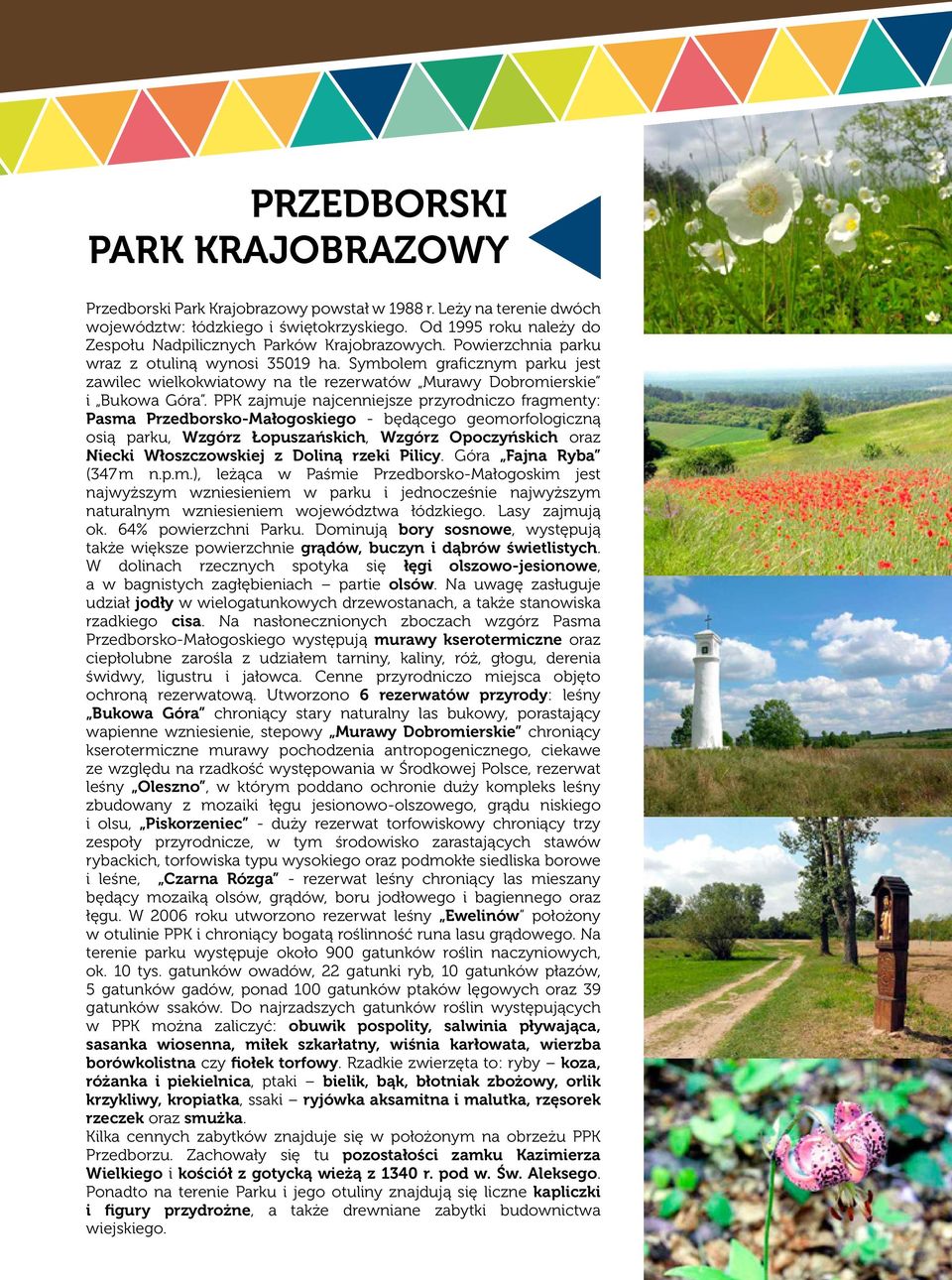 Symbolem graficznym parku jest zawilec wielkokwiatowy na tle rezerwatów Murawy Dobromierskie i Bukowa Góra.