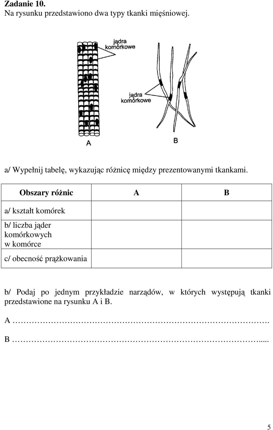 Obszary róŝnic A B a/ kształt komórek b/ liczba jąder komórkowych w komórce c/