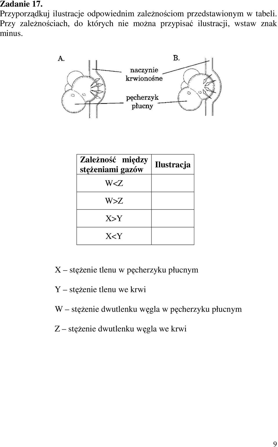 ZaleŜność między stęŝeniami gazów W<Z Ilustracja W>Z X>Y X<Y X stęŝenie tlenu w pęcherzyku