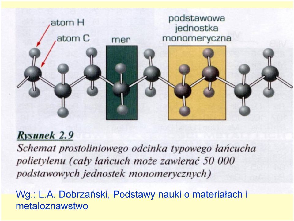 Podstawy nauki o