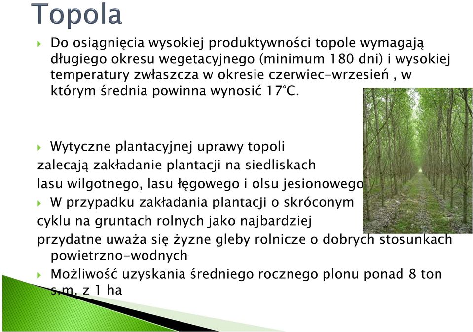 Wytyczne plantacyjnej uprawy topoli zalecają zakładanie plantacji na siedliskach lasu wilgotnego, lasu łęgowego i olsu jesionowego.