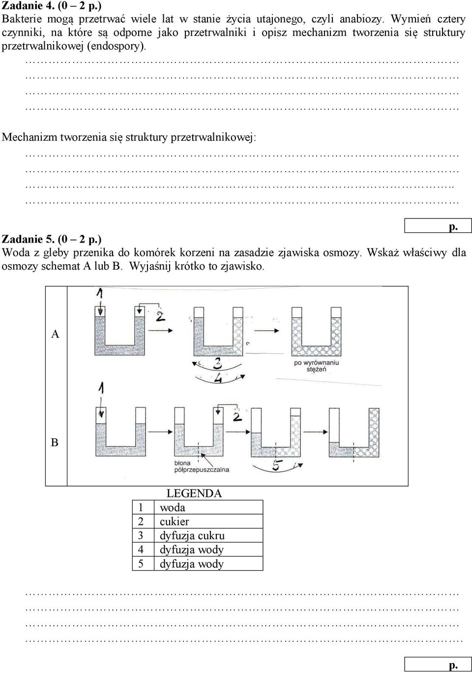 (endospory). Mechanizm tworzenia się struktury przetrwalnikowej:.. Zadanie 5.