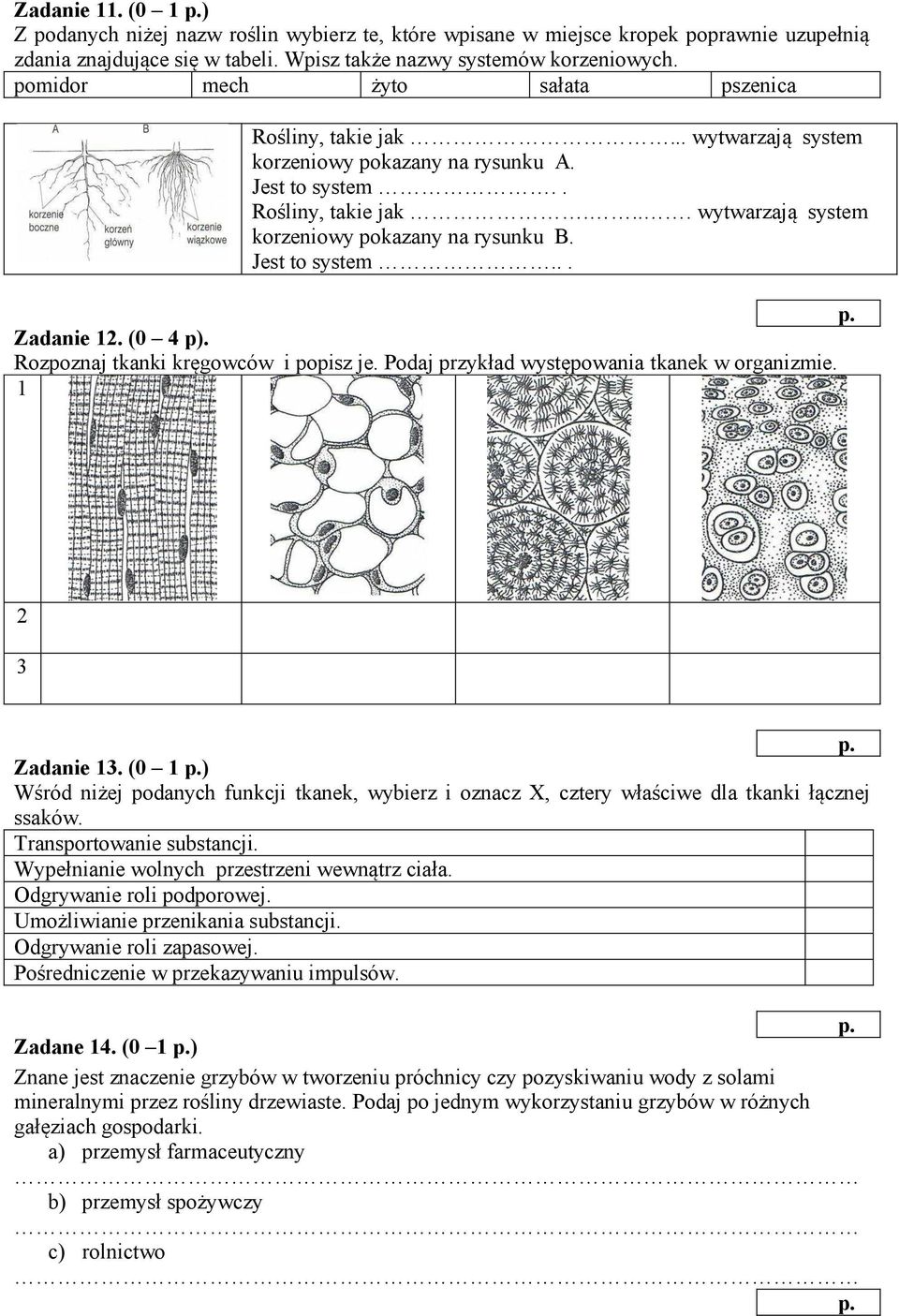 Jest to system... Zadanie 12. (0 4 p). Rozpoznaj tkanki kręgowców i popisz je. Podaj przykład występowania tkanek w organizmie. 1 2 3 Zadanie 13.