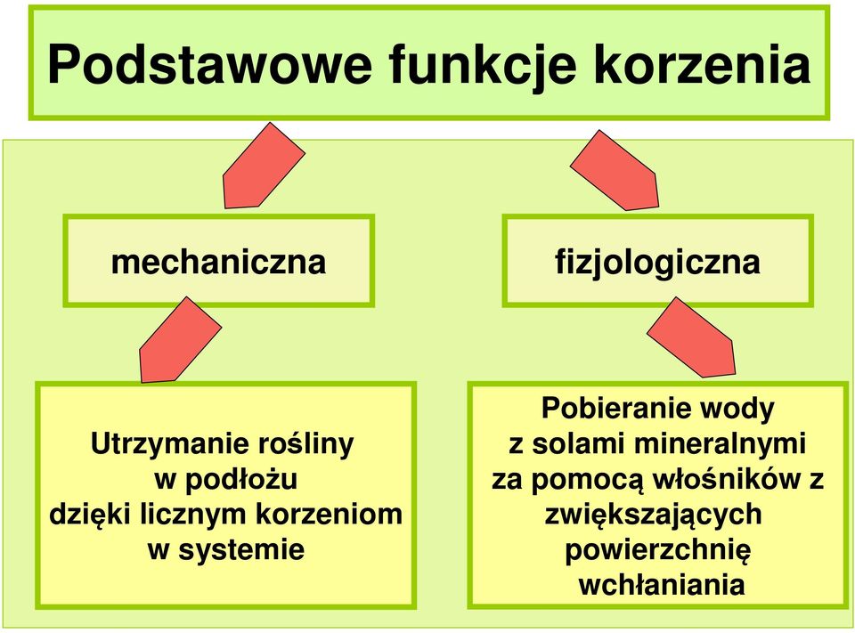 w systemie Pobieranie wody z solami mineralnymi za