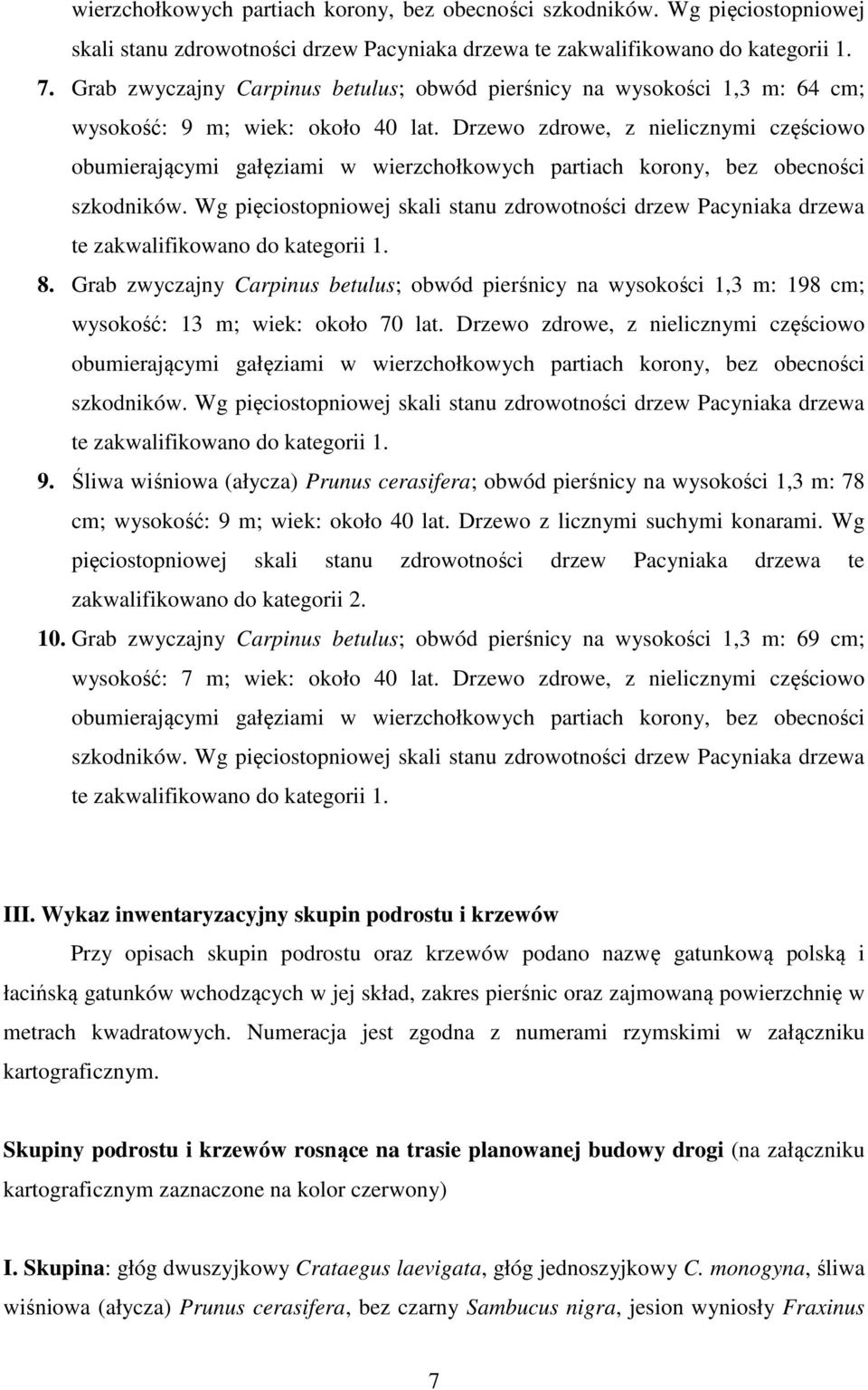 Drzewo zdrowe, z nielicznymi częściowo obumierającymi gałęziami w wierzchołkowych partiach korony, bez obecności szkodników.