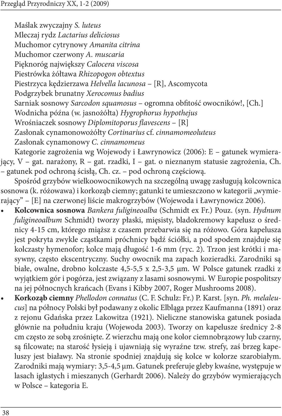 Sarcodon squamosus ogromna obfitość owocników!, [Ch.] Wodnicha późna (w. jasnożółta) Hygrophorus hypothejus Wrośniaczek sosnowy Diplomitoporus flavescens [R] Zasłonak cynamonowożółty Cortinarius cf.