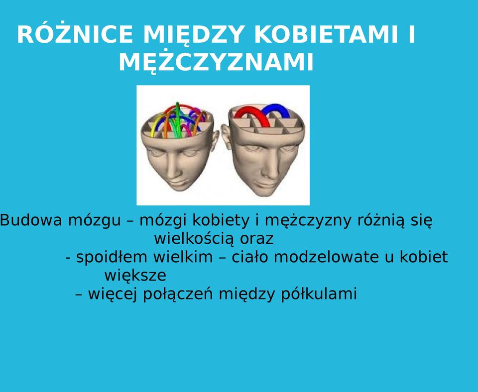 wielkością oraz - spoidłem wielkim ciało