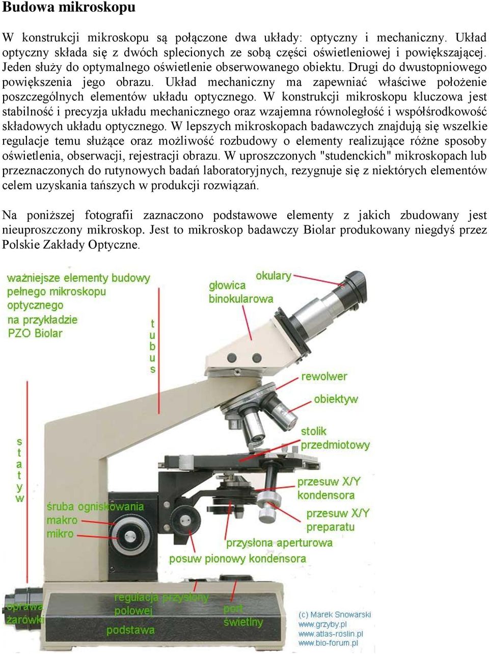 Elementy mechaniczne Statyw, korpus mikroskopu Stolik przedmiotowy Śruba  ogniskowania makro- i mikrometyczna Parfokalność - PDF Free Download