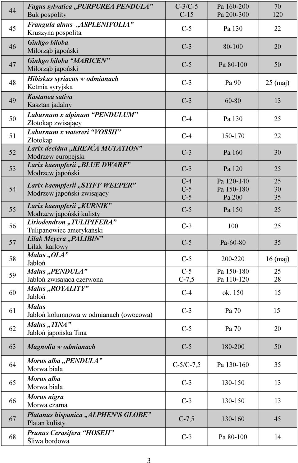 Modrzew europejski Larix kaempferii BLUE DWARF Modrzew japoński Larix kaempferii STIFF WEEPER Modrzew japoński zwisający Larix kaempferii KURNIK Modrzew japoński kulisty Liriodendron TULIPIFERA