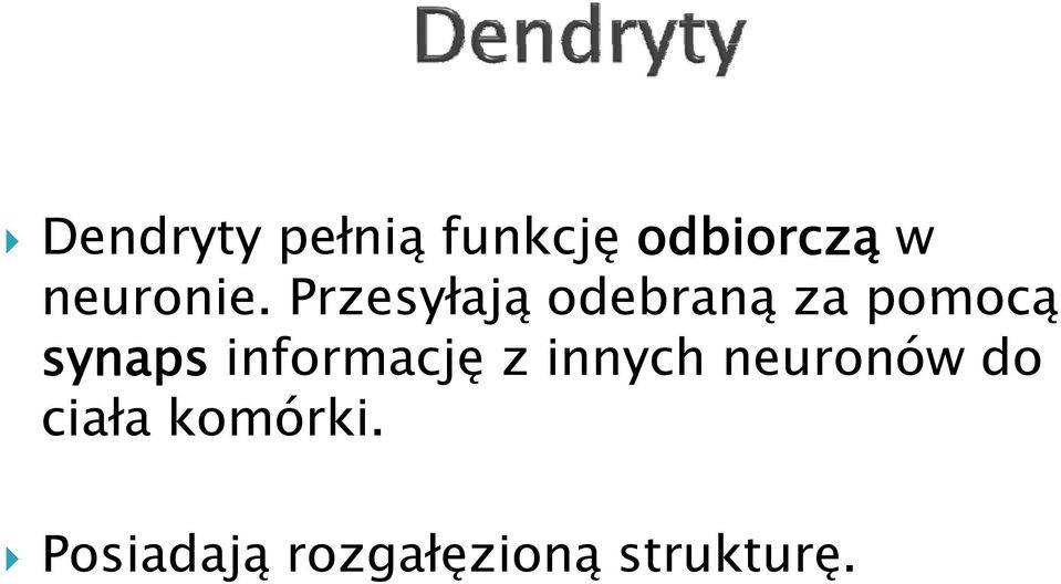 Przesyłają odebraną za pomocą synaps