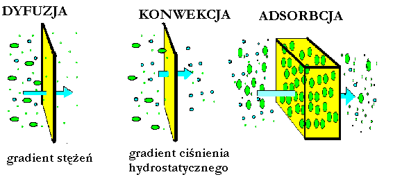 TECHNIKI OCZYSZCZANIA KRWI DIALIZA NERKOWA, SPAD