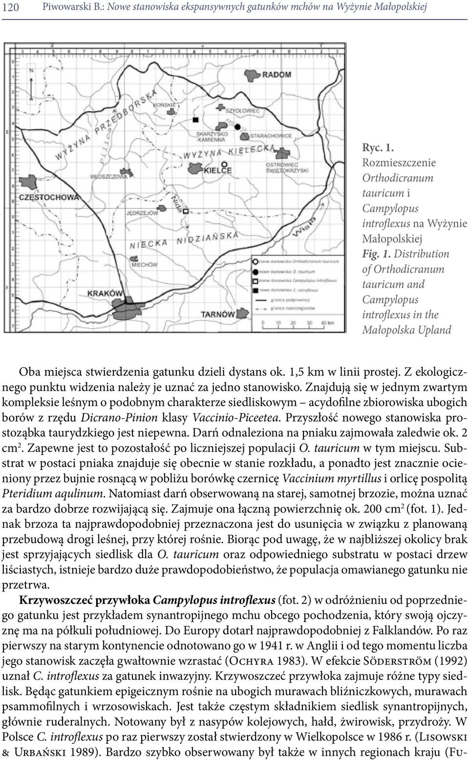 Distribution of Orthodicranum tauricum and Campylopus introflexus in the Małopolska Upland Oba miejsca stwierdzenia gatunku dzieli dystans ok. 1,5 km w linii prostej.