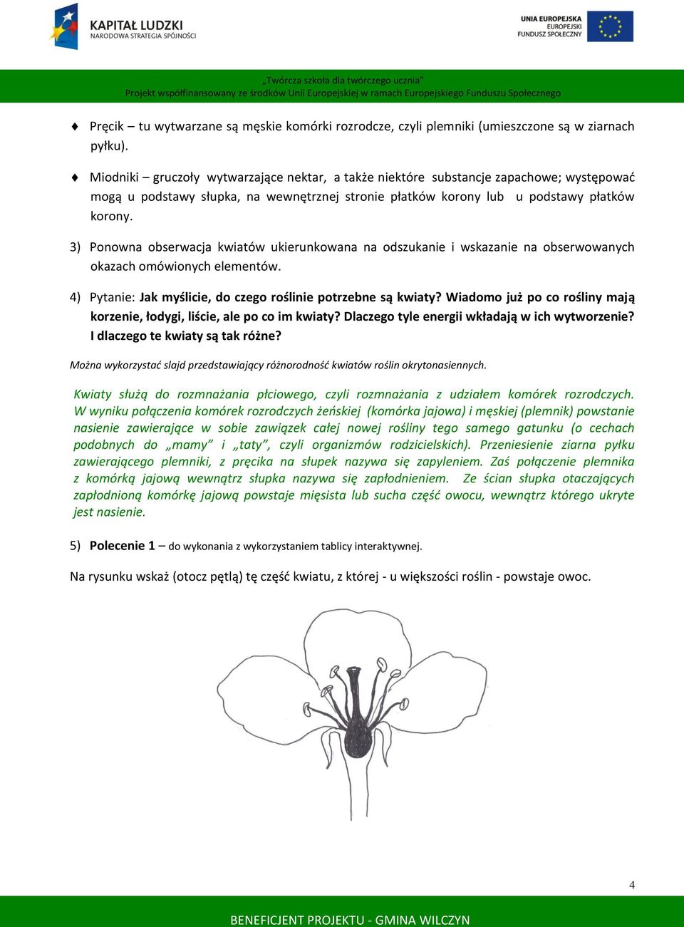 3) Ponowna obserwacja kwiatów ukierunkowana na odszukanie i wskazanie na obserwowanych okazach omówionych elementów. 4) Pytanie: Jak myślicie, do czego roślinie potrzebne są kwiaty?