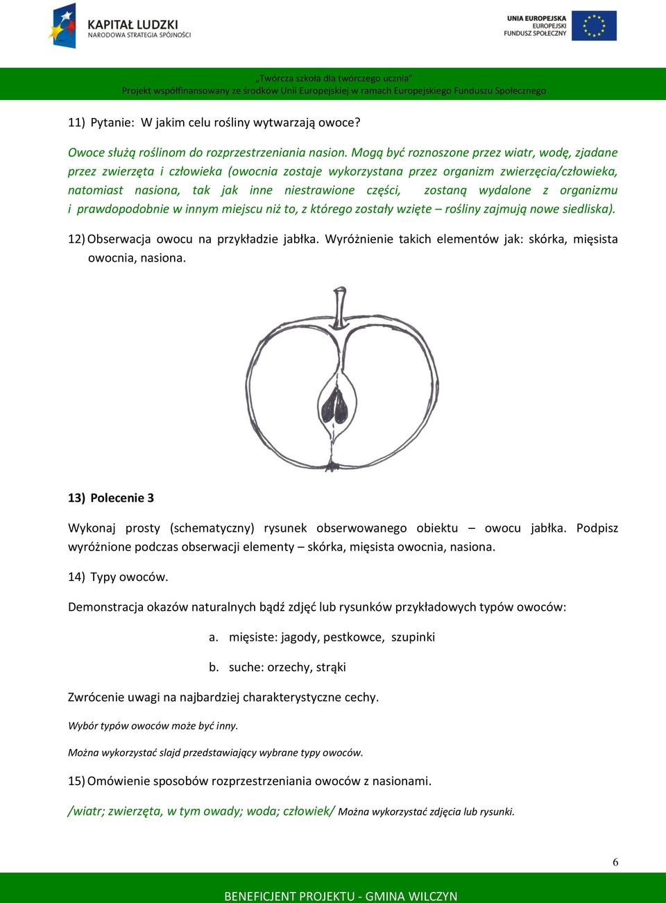 zostaną wydalone z organizmu i prawdopodobnie w innym miejscu niż to, z którego zostały wzięte rośliny zajmują nowe siedliska). 12) Obserwacja owocu na przykładzie jabłka.