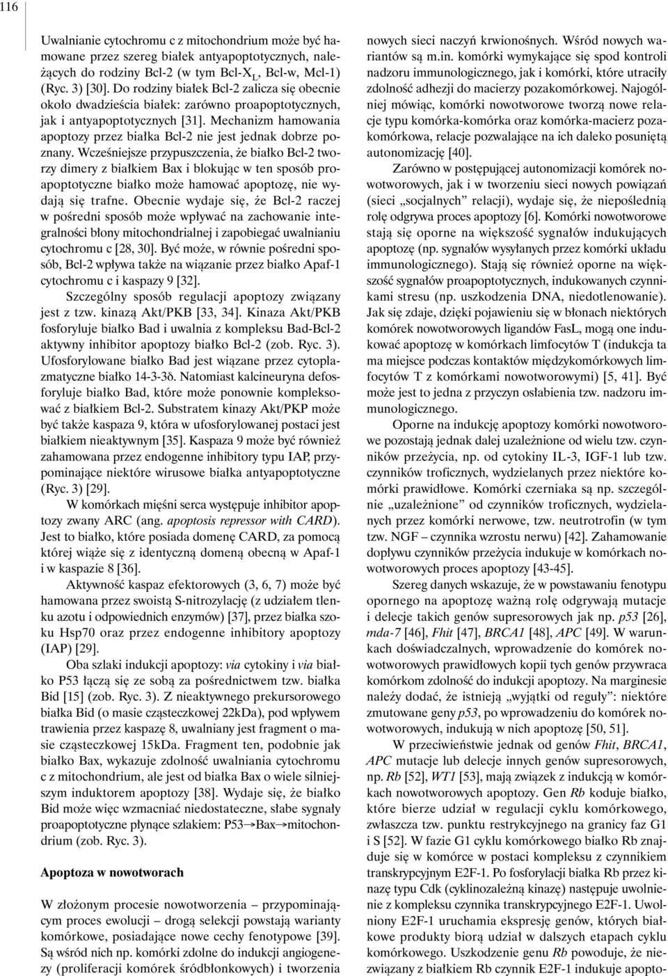 Mechanizm hamowania apoptozy przez bia ka Bcl-2 nie jest jednak dobrze poznany.