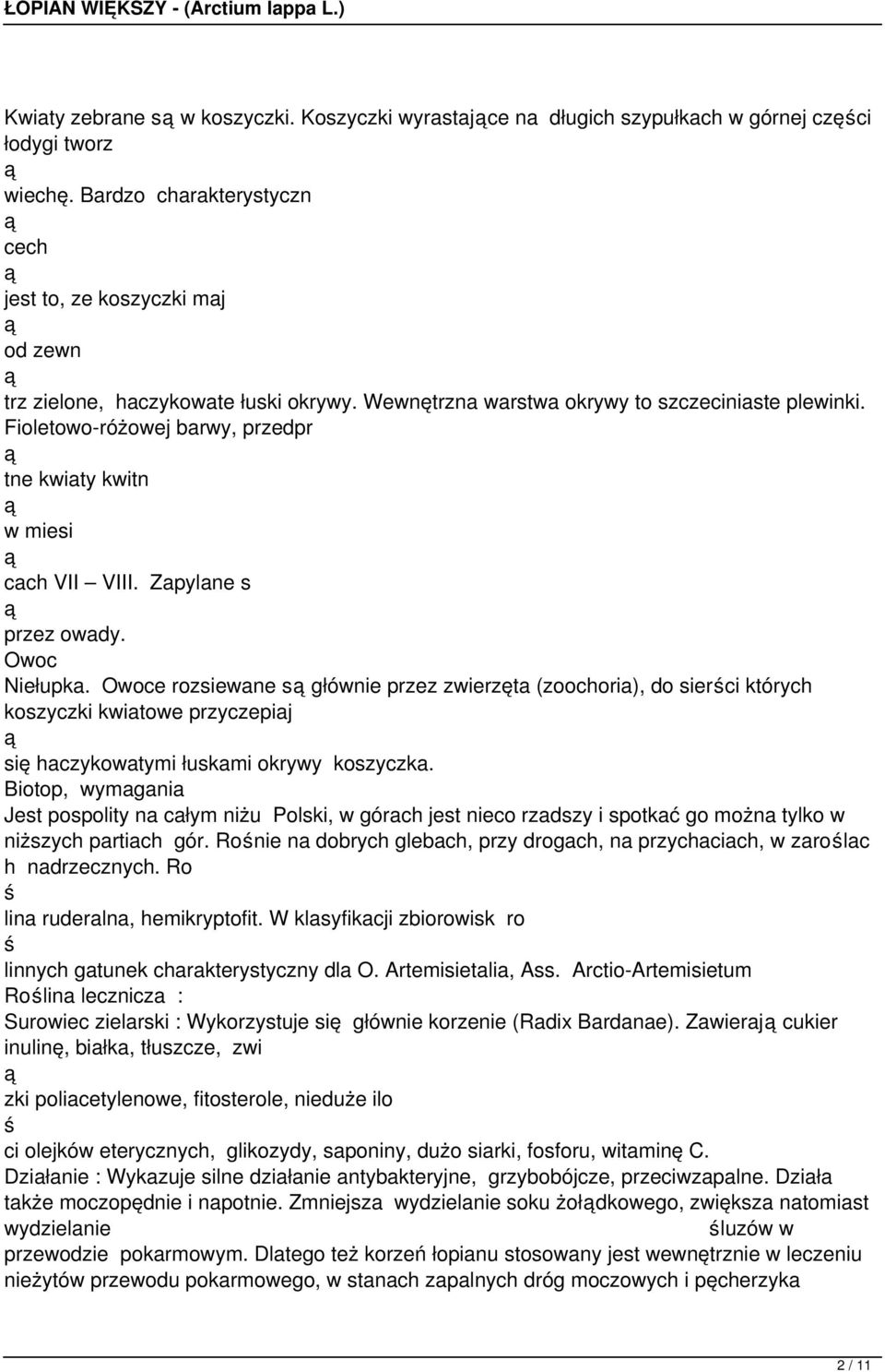 Fioletowo-różowej barwy, przedpr tne kwiaty kwitn w miesi cach VII VIII. Zapylane s przez owady. Owoc Niełupka.