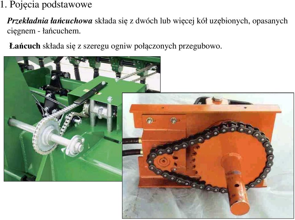 uzębionych, opasanych cięgnem - łańcuchem.