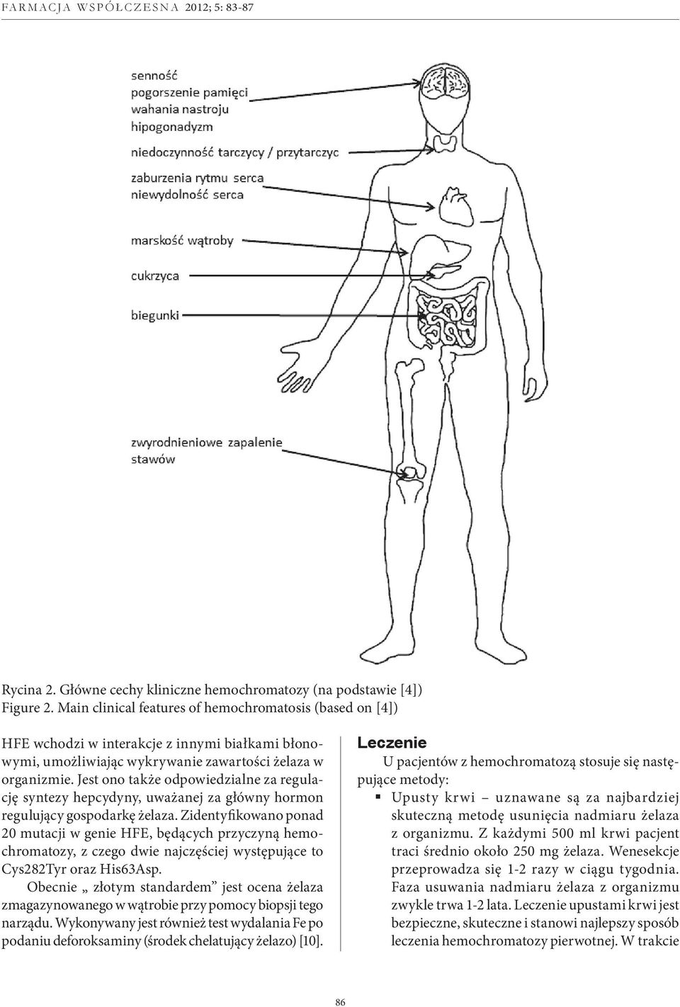 Jest ono także odpowiedzialne za regulację syntezy hepcydyny, uważanej za główny hormon regulujący gospodarkę żelaza.